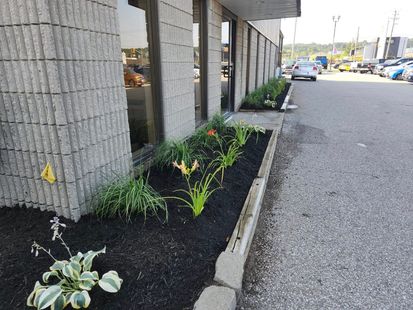 A landscaped garden bed with dark mulch, several small shrubs, and a tree, bordered by gray stone blocks on a grassy lawn.