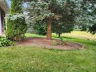 A mulch garden bed surrounds a pine tree in a grassy yard, with a building corner and a field in the background.