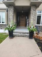 Front entry of a home with two black planters filled with greenery, white branches, and candy canes flanking the steps.