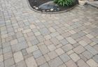 A suburban backyard featuring a lush green lawn, a mulched garden bed with small plants, and two flowering trees.