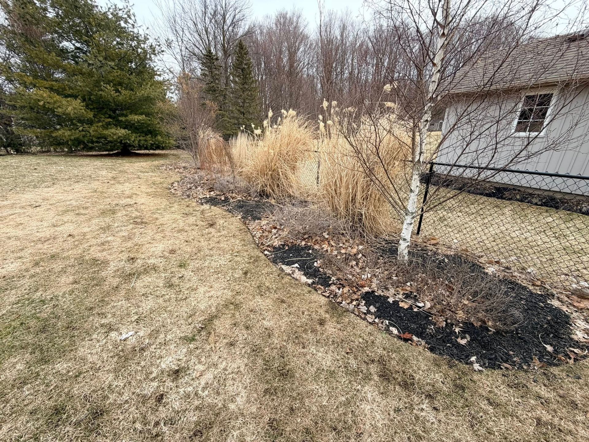 A landscaped garden bed with dry grasses and a small tree in a dormant yard, with a white building visible in the back.