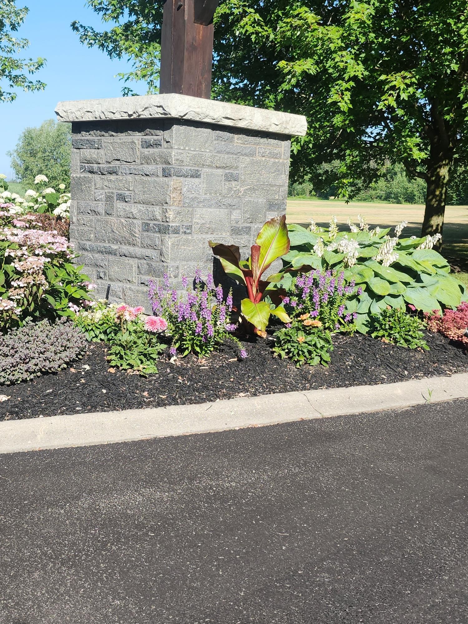 A backyard garden corner with a green lawn, dark mulch bed, stone border, and a large, flowering tree by a wooden fence.