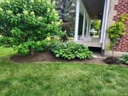 A rectangular garden bed with white hydrangea bushes and a central green shrub, set between two patio areas.