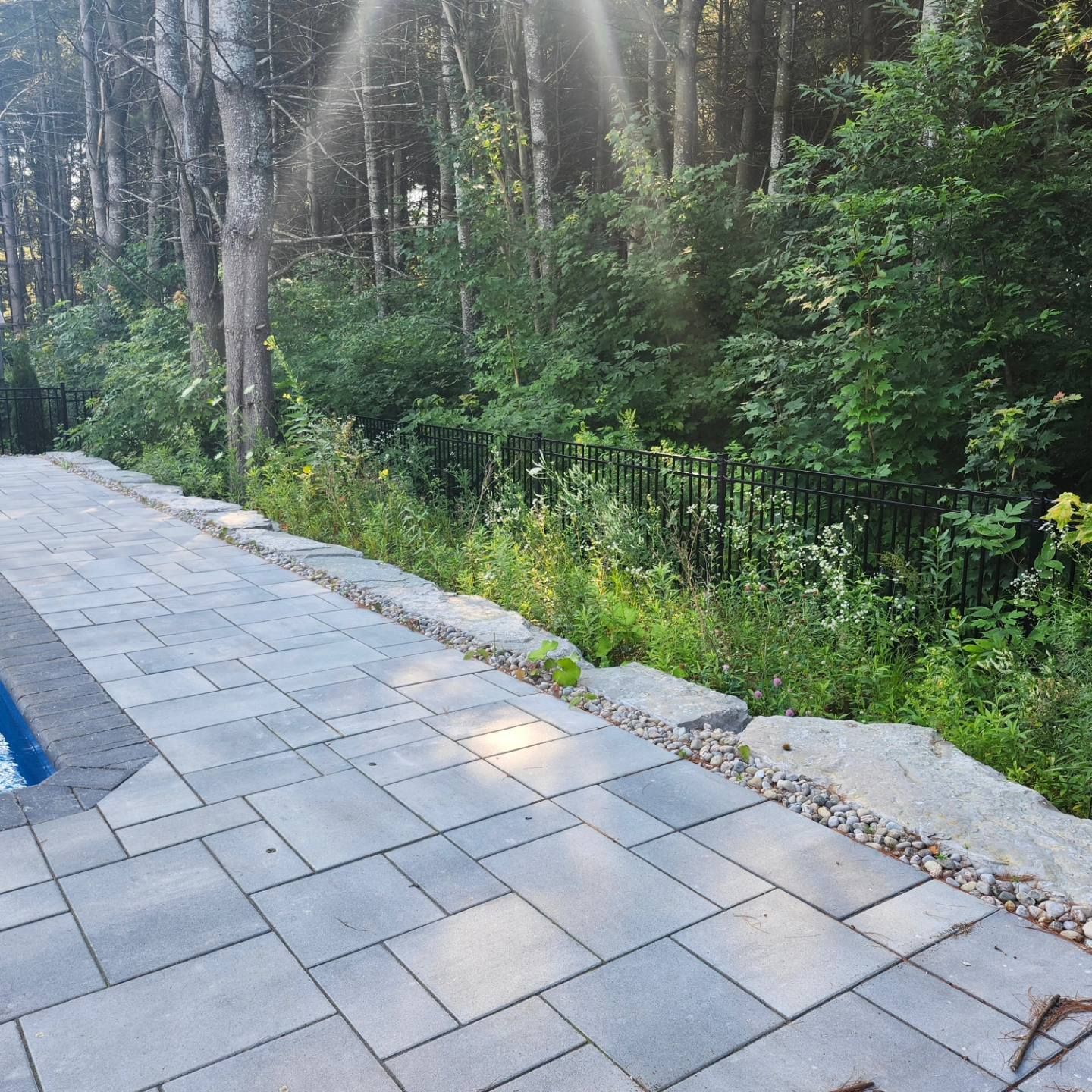 Gray stone pavers form a patio edge next to a pool, separated from a lush, green forest by a line of large rock boulders.