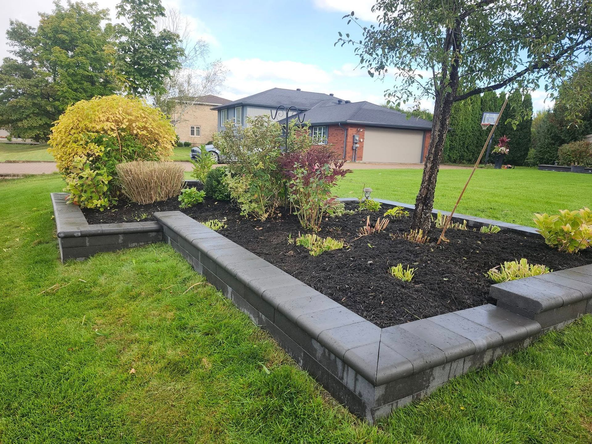 A raised garden bed with dark mulch, various shrubs, and gray stone edging sits in a lush green lawn near a house.