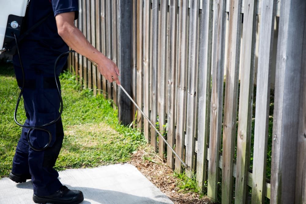 A Man Is Spraying a Wooden Fence with A Sprayer — Pest Control Central Coast in Toukley, NSW