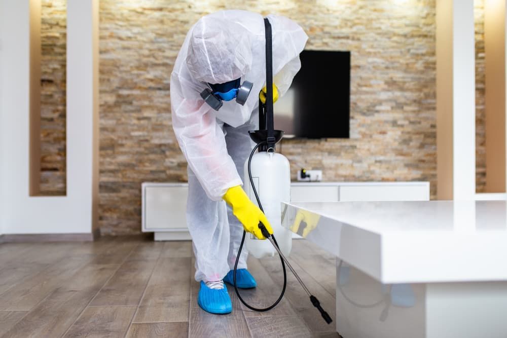 A Man in A Protective Suit Is Spraying a Table in A Living Room — Pest Control Central Coast in Wyong, NSW