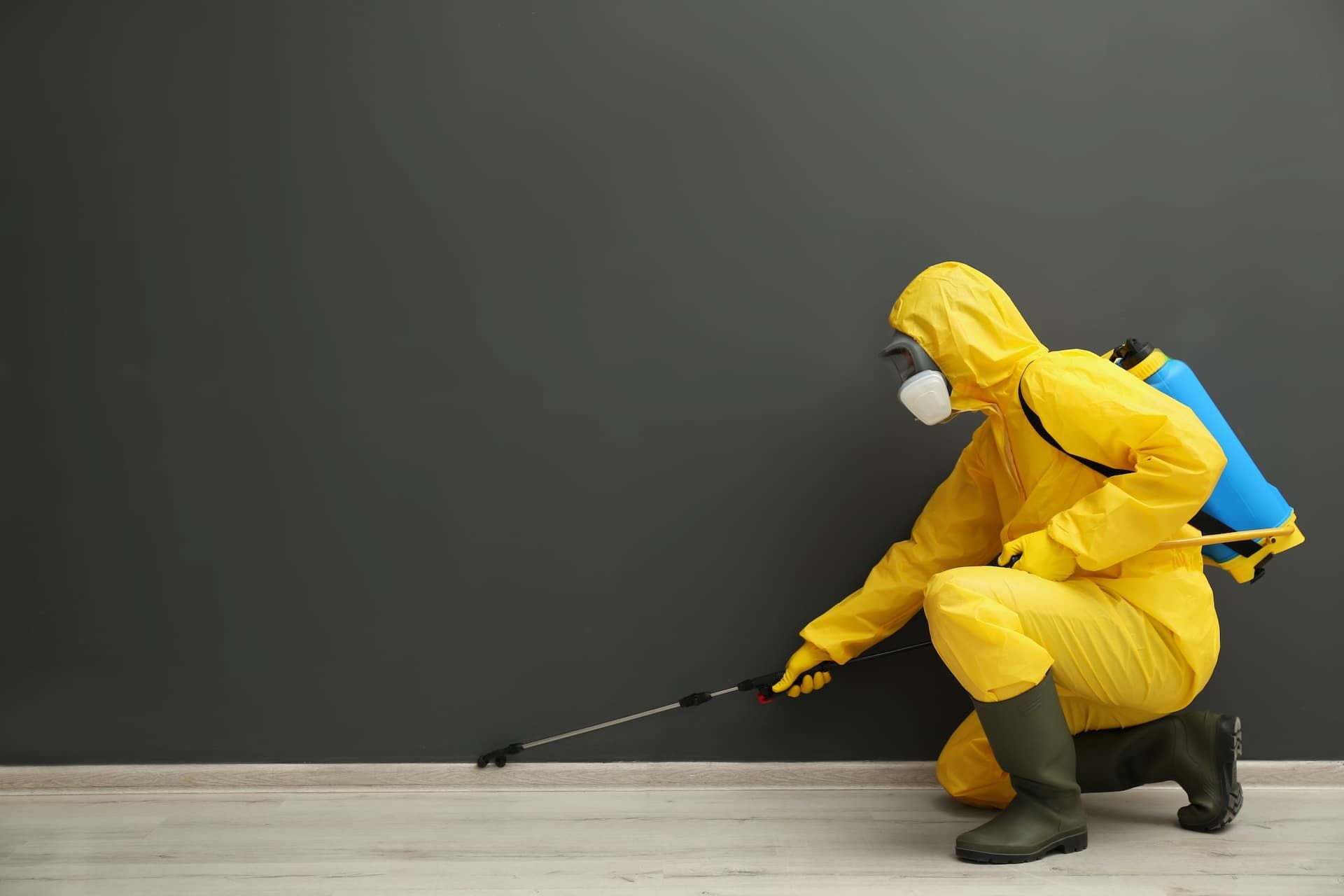 A Man in A Yellow Protective Suit Is Spraying a Wall with A Sprayer — Pest Control Central Coast in Gosford, NSW