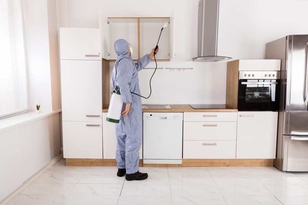 A Man in A Protective Suit Is Spraying a Cabinet in A Kitchen — Pest Control Central Coast in Central Coast, NSW