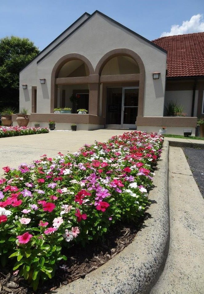 Office Flowers at James H Wells DDS PA — Dentists in Mount Airy, NC Office Flowers at James H Wells DDS PA — Dentists in Mount Airy, NC