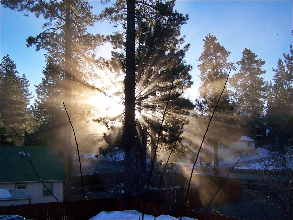 Sun shining through trees, creating bright rays. Snowy landscape, houses in the background.