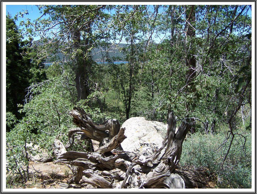 A rocky forest scene, with trees, a large boulder, and a lake visible in the distance.
