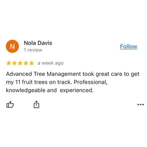 Review of Advanced Tree Management: Nola Davis gave them five stars for taking great care of 11 fruit trees.