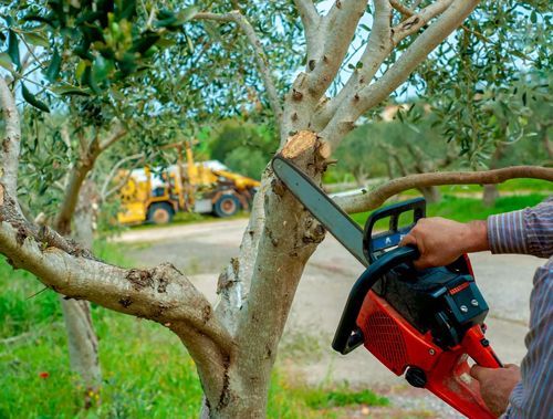 Person using a red chainsaw to cut a tree branch outdoors with heavy equipment in the background.