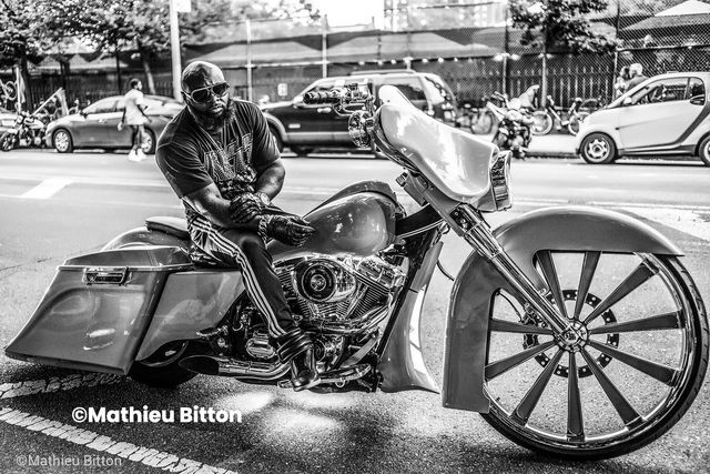 Digital Silver Imaging - 