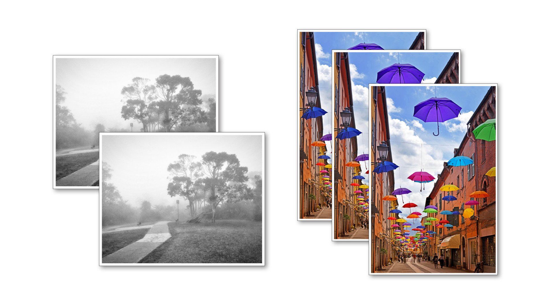 Print Sample Promotion