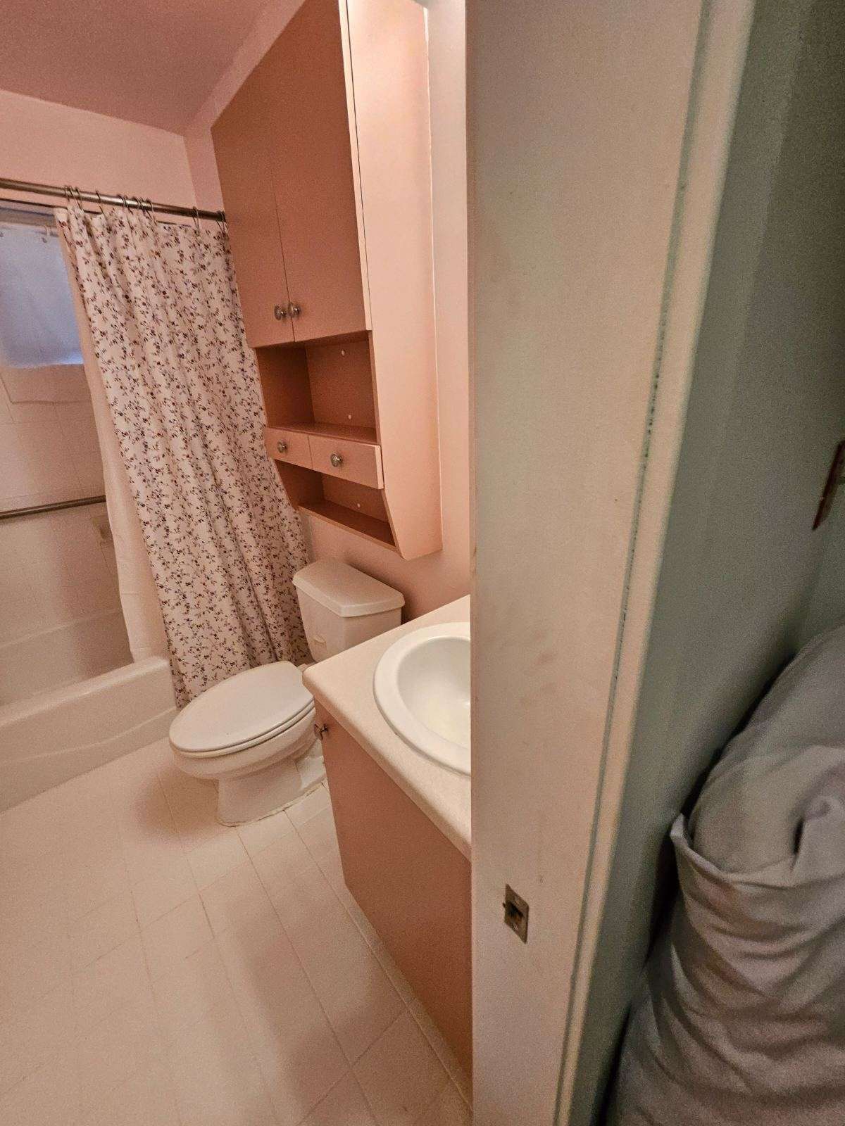 Bathroom with a toilet, vanity, shower curtain, and a tall cabinet.