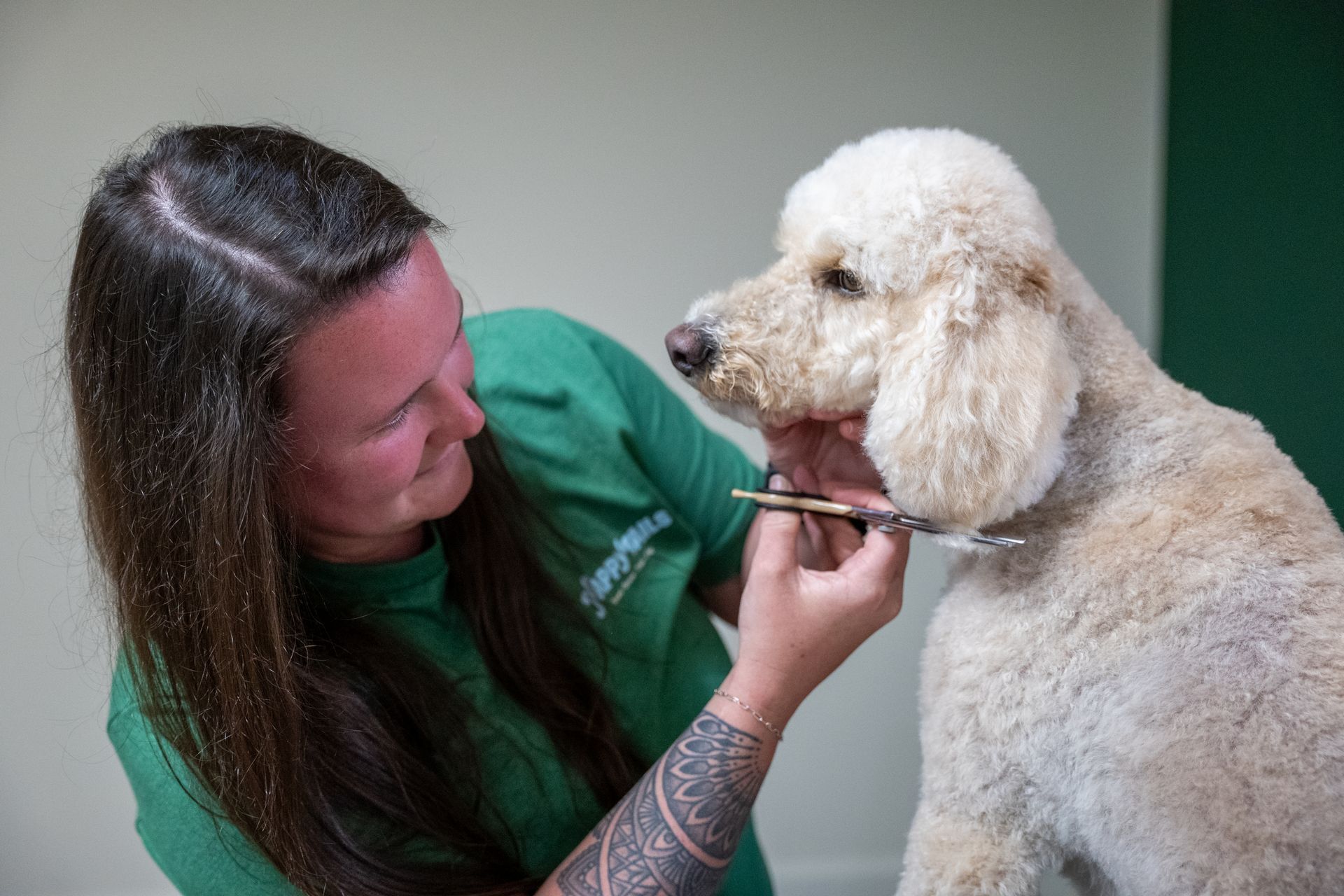 groomer