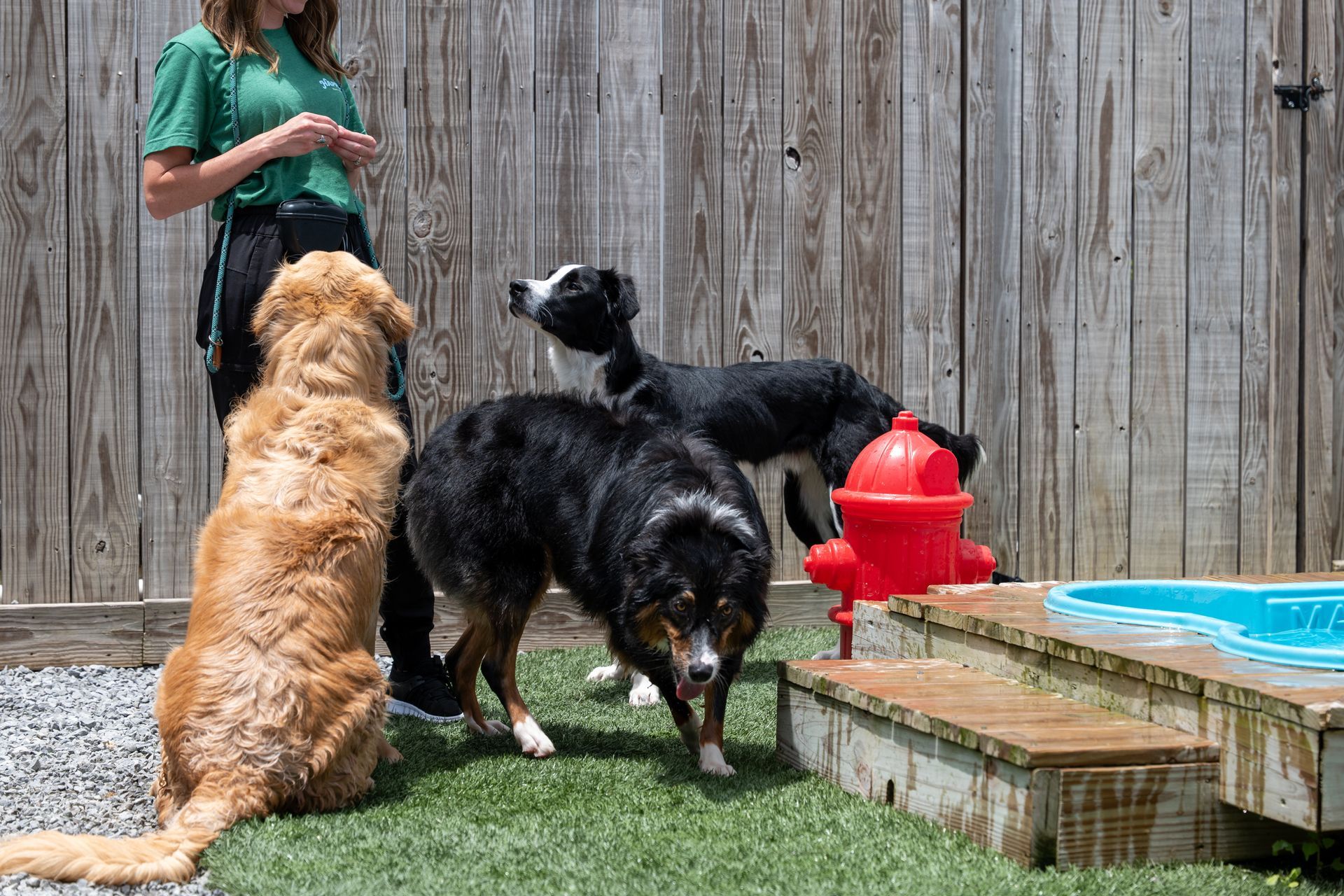 daycare playtime