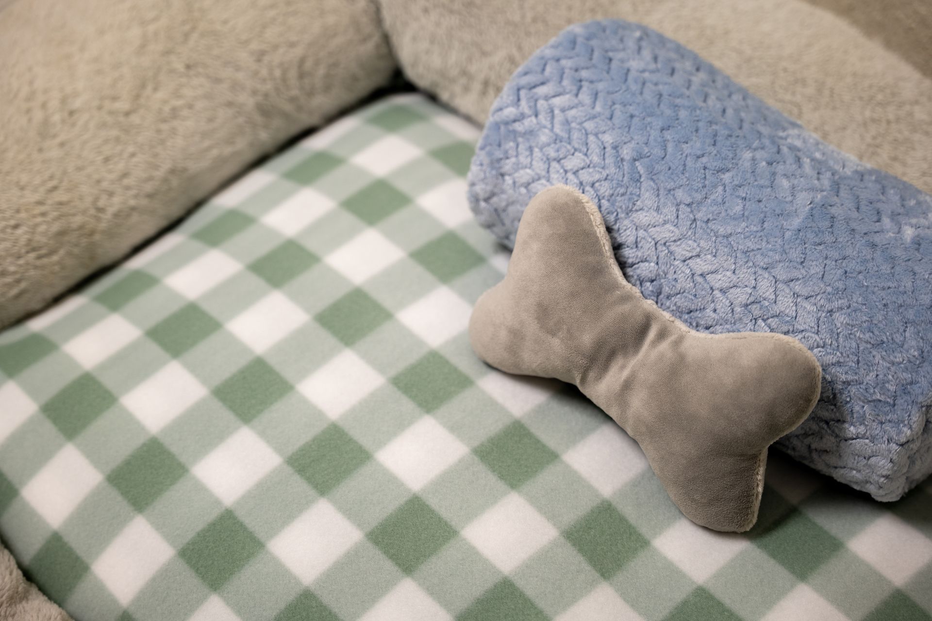 dog bed