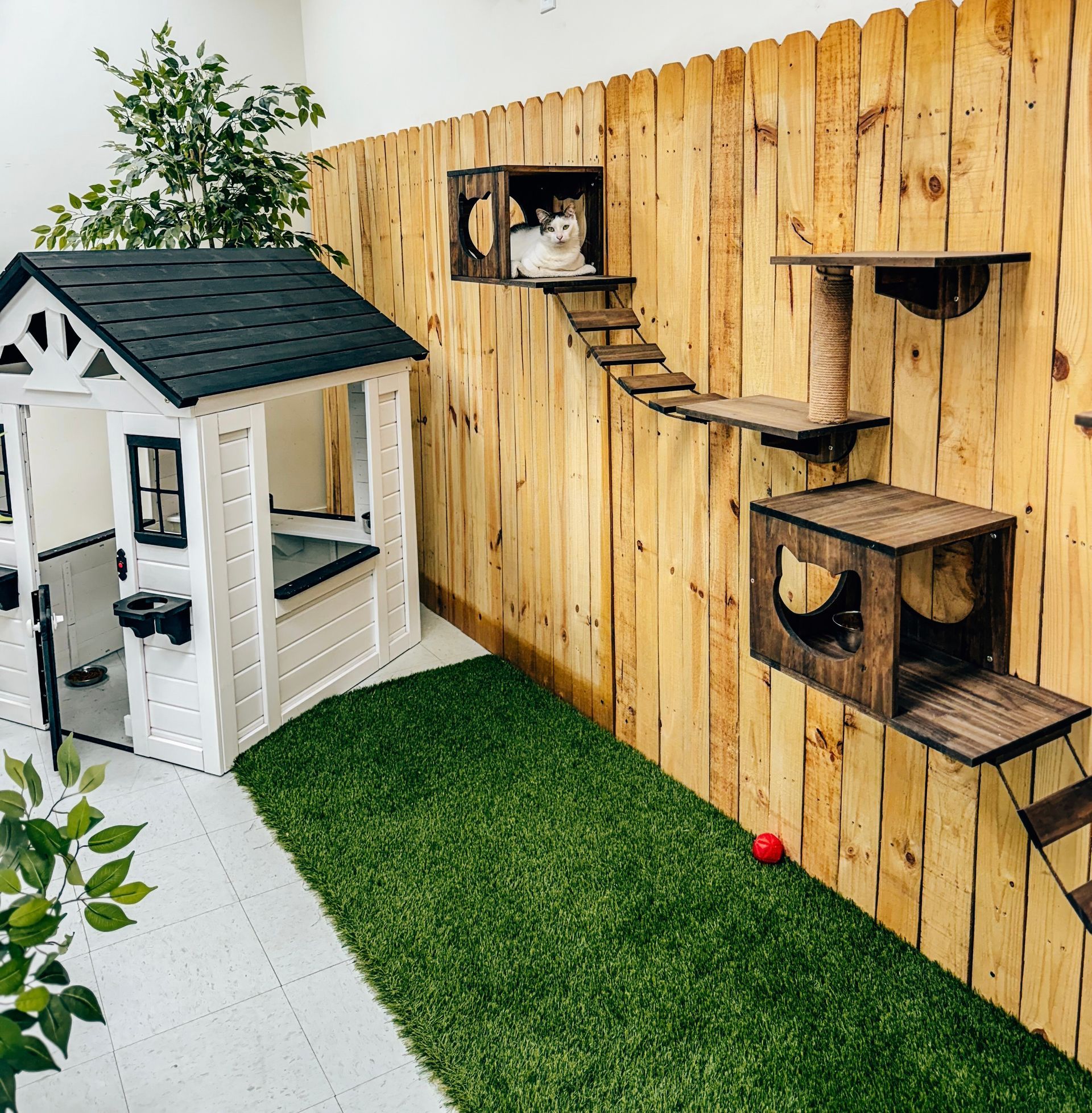 cat play room