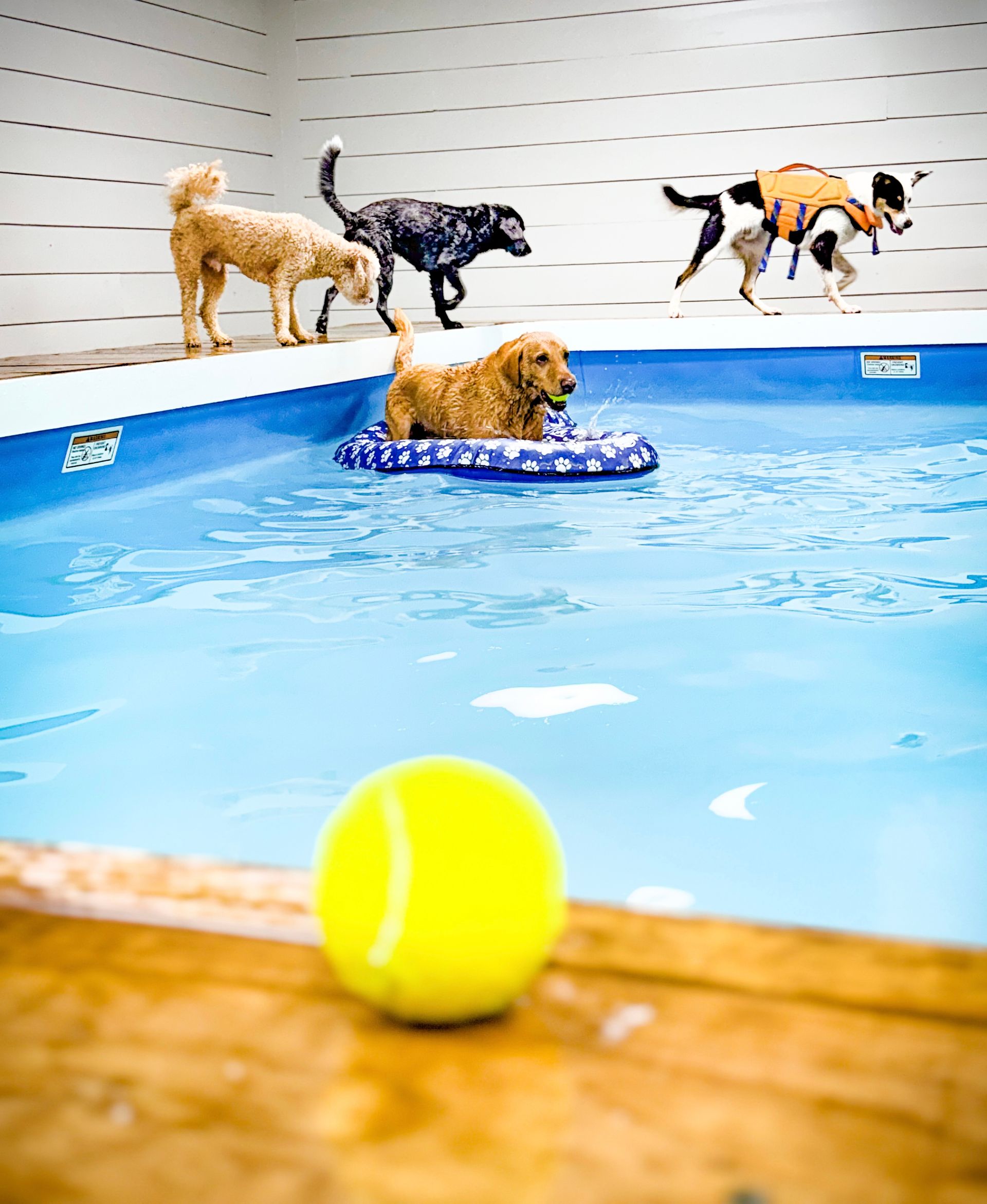 splash time