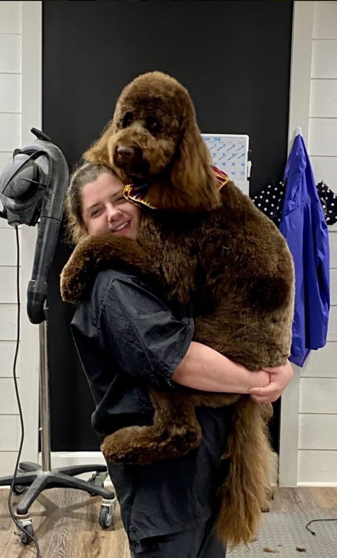 groomer