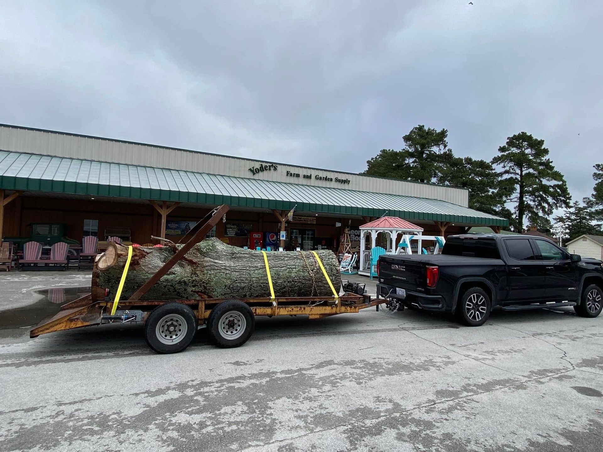A black pickup truck towing a flatbed trailer loaded with a large, moss-covered log in a storefront parking lot.