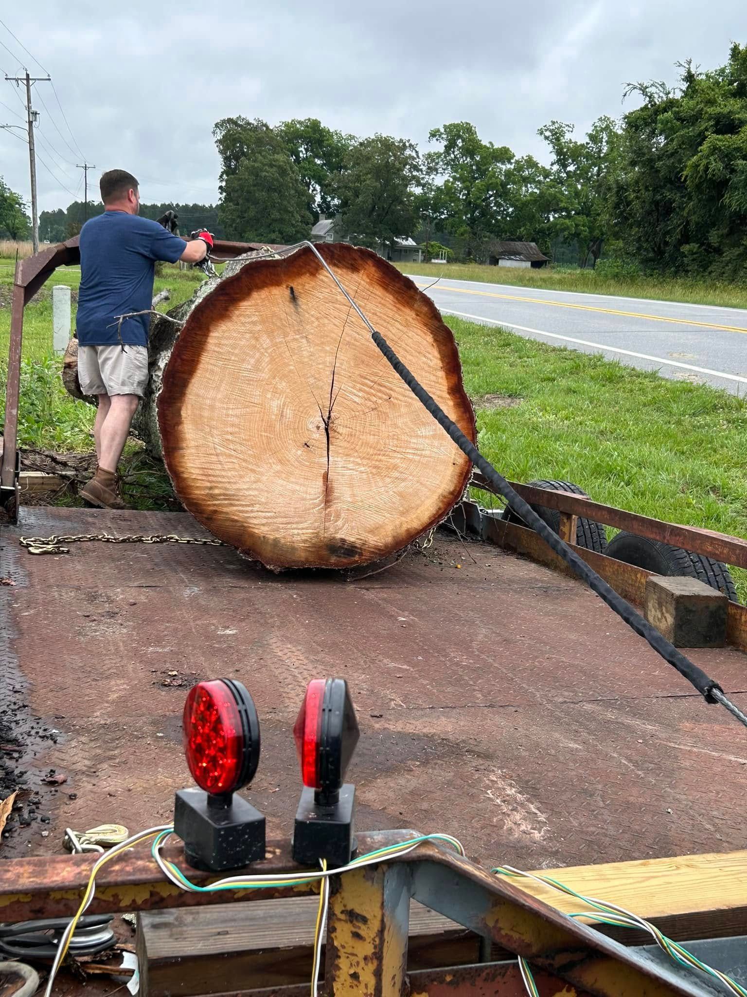 A person in a blue shirt stands next to a massive, freshly cut log secured on a flatbed trailer along a roadside.