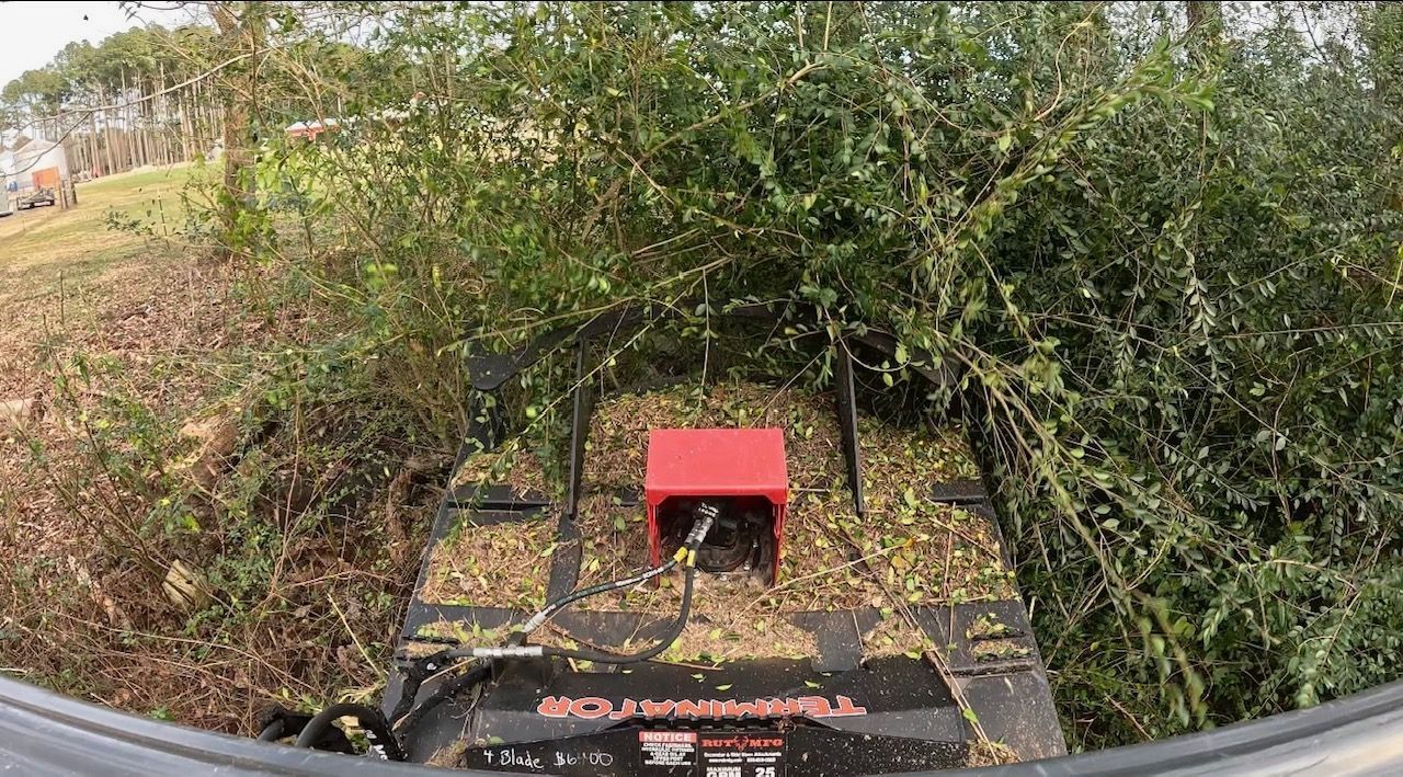 A first-person view from a tractor clearing a dense, green thicket with a brush hog attachment.