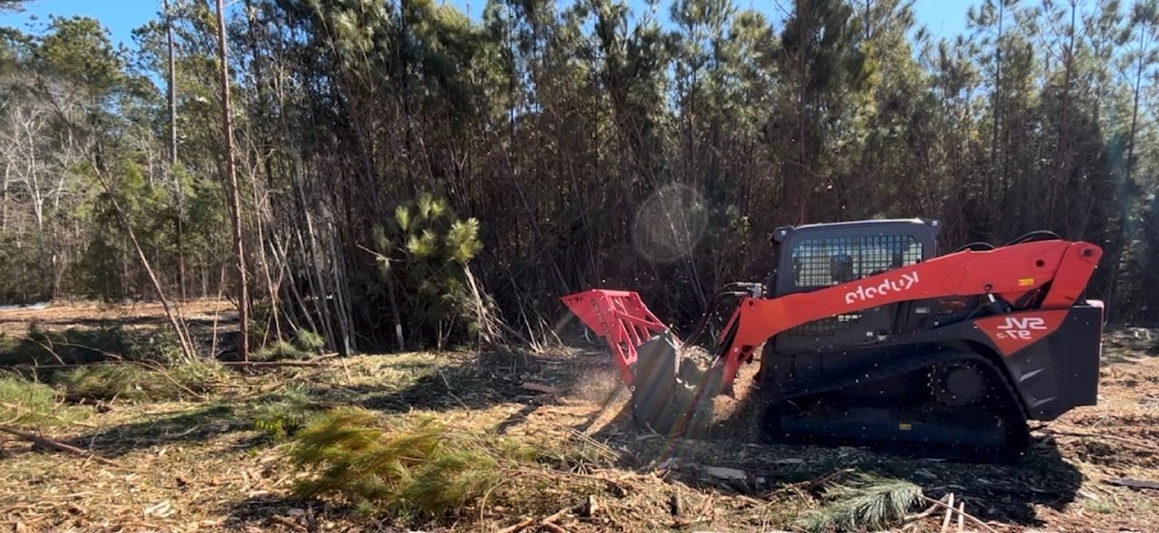 An orange skid-steer loader with a mulching head clears brush and small trees in a wooded, sunny landscape.