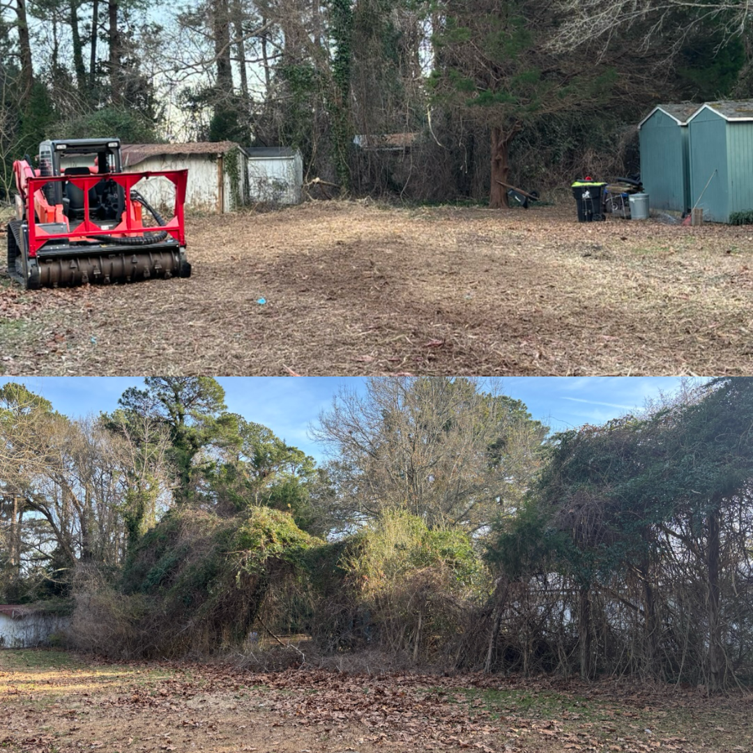 Before and after photos showing a brush mower clearing dense, overgrown vegetation from a residential backyard.