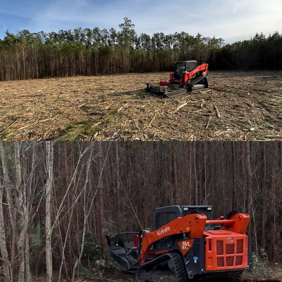 An orange Kubota track loader clears brush in a field and at the edge of a pine forest.