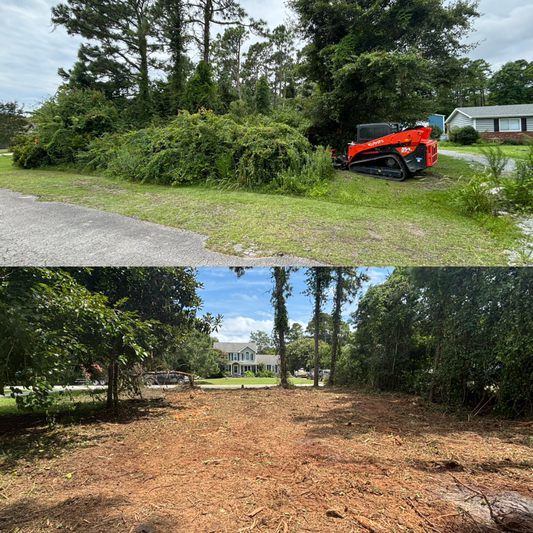 Before-and-after photos of a lot clearing project using a bright orange skid steer loader to remove thick brush and trees.