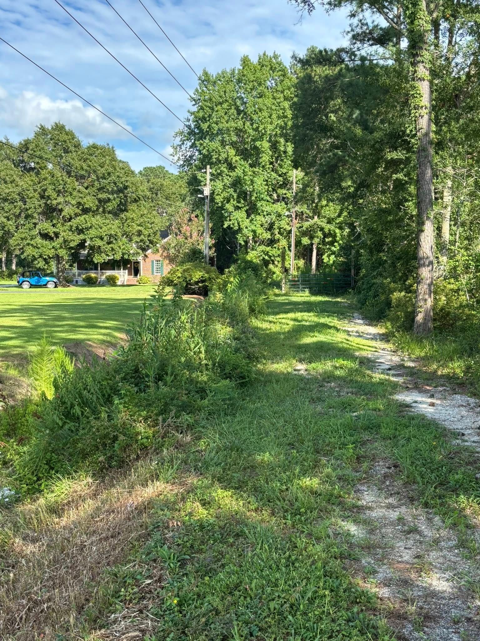 A grassy, shaded path leads toward a house in the distance, framed by thick green trees and overhead power lines.