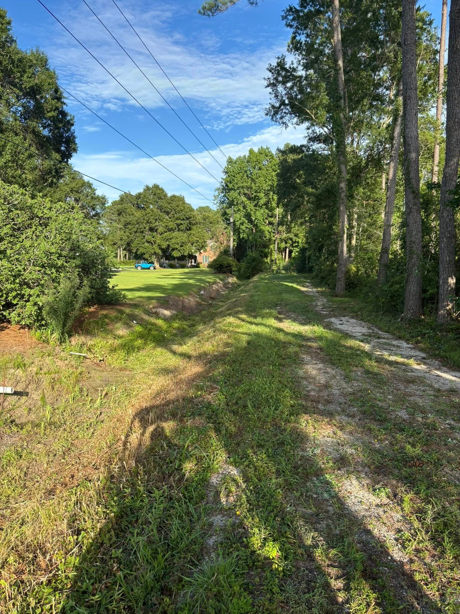 A grassy path bordered by trees and overhead power lines leads toward a sunny, green backyard area.