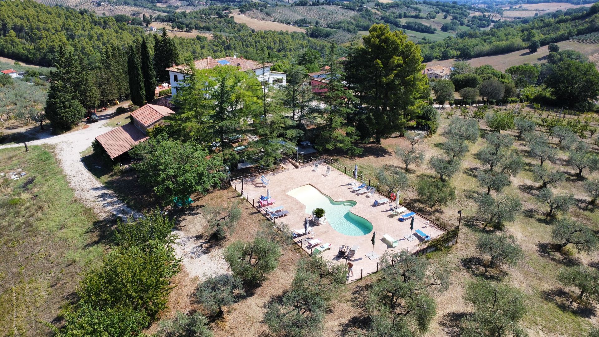 Vista aerea: Villa con piscina, circondata da ulivi, in un contesto rurale con colline.