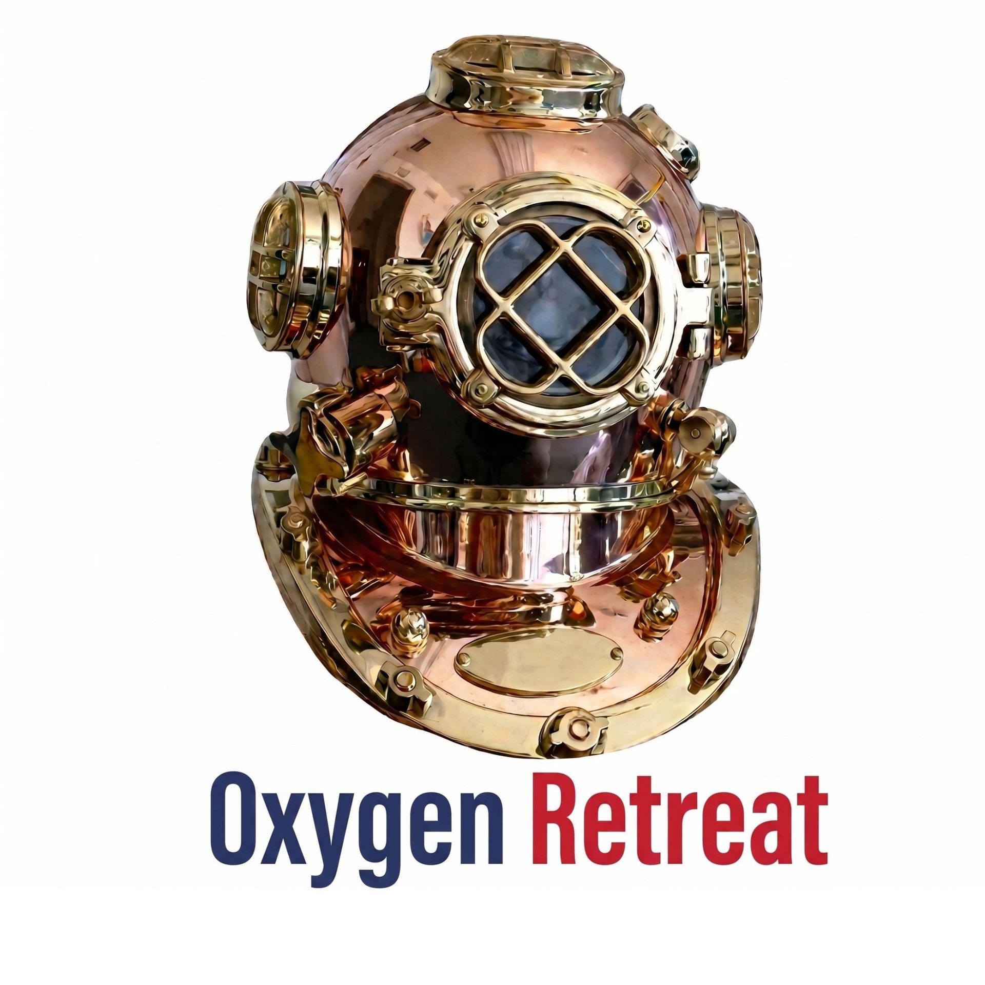 Logo for Hyperbarics DHW featuring two dark blue hands cradling red leaves, with the text