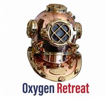 Logo for Hyperbarics DHW featuring two dark blue hands cradling red leaves, with the text