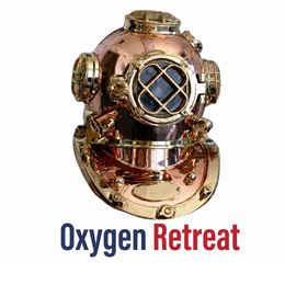 Logo for Hyperbarics DHW featuring two dark blue hands cradling red leaves, with the text