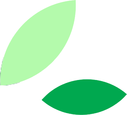 Leaf accent image