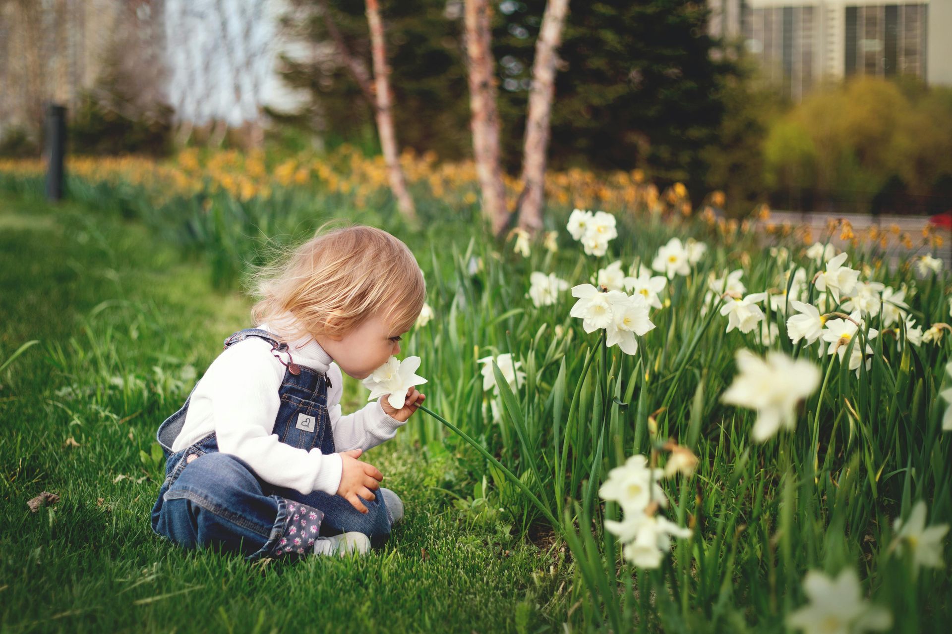 A young girl sitting on the grass look at flowers.