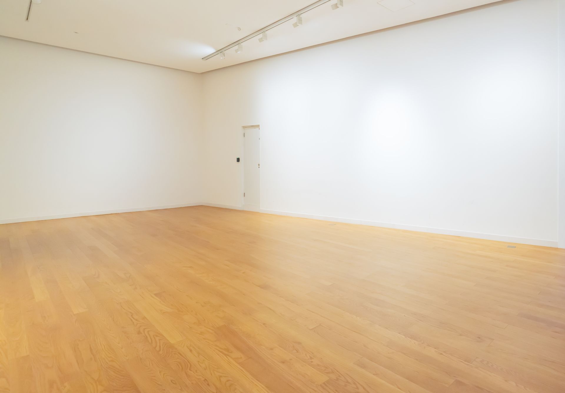 Empty room with white walls, light wood floor, and a single closed door
