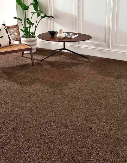 Acogedor rincón de salón con una mesa de centro redonda de madera, una silla y una amplia moqueta.