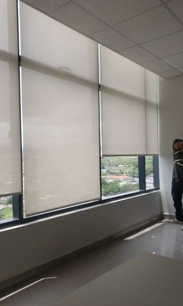 Luminoso salón con persianas translúcidas, sofá beige, alfombra y planta en maceta junto a grandes ventanales.