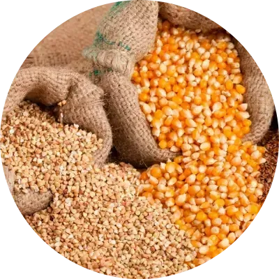 empacotamento de Cereais