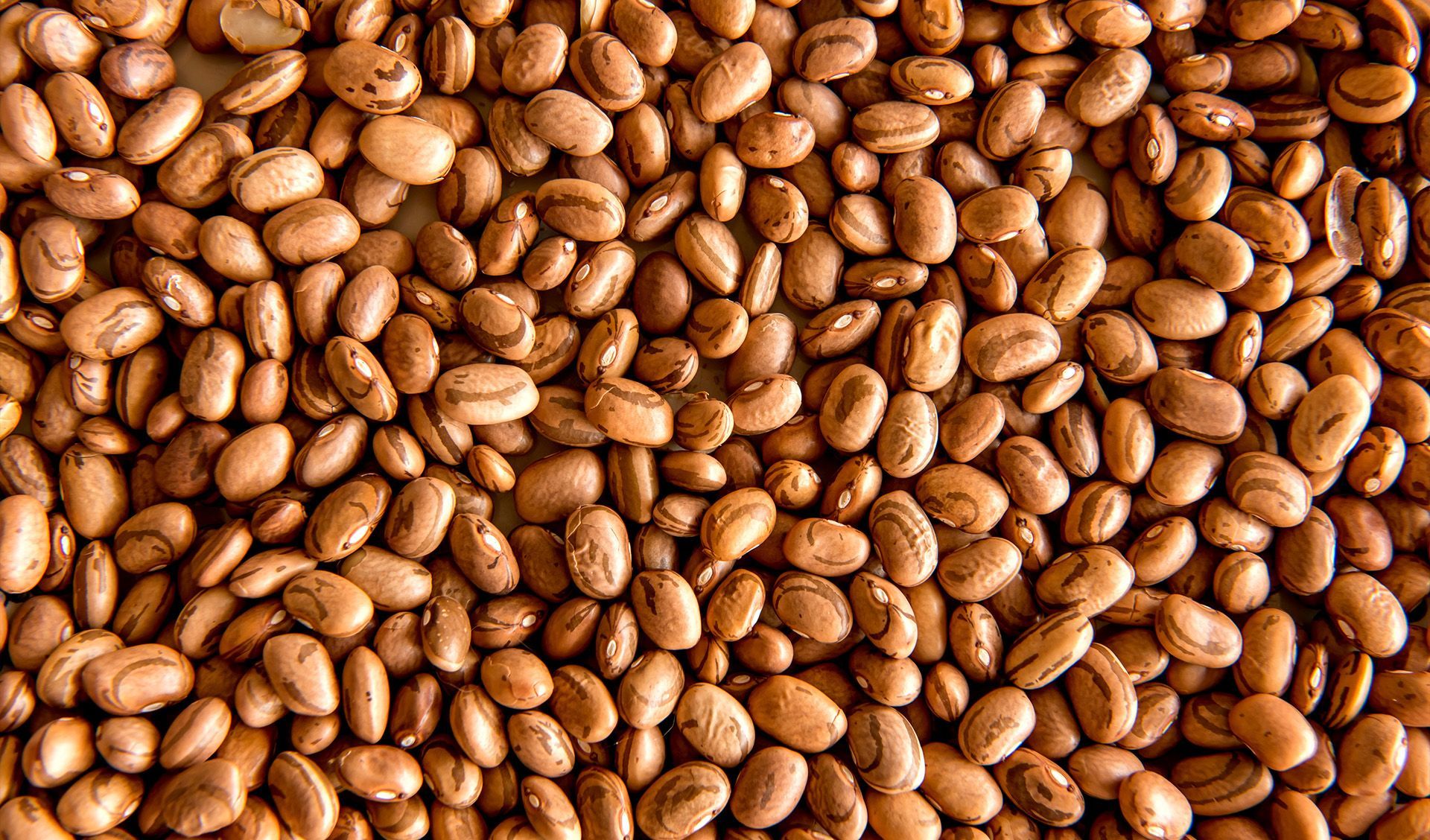 Maçã