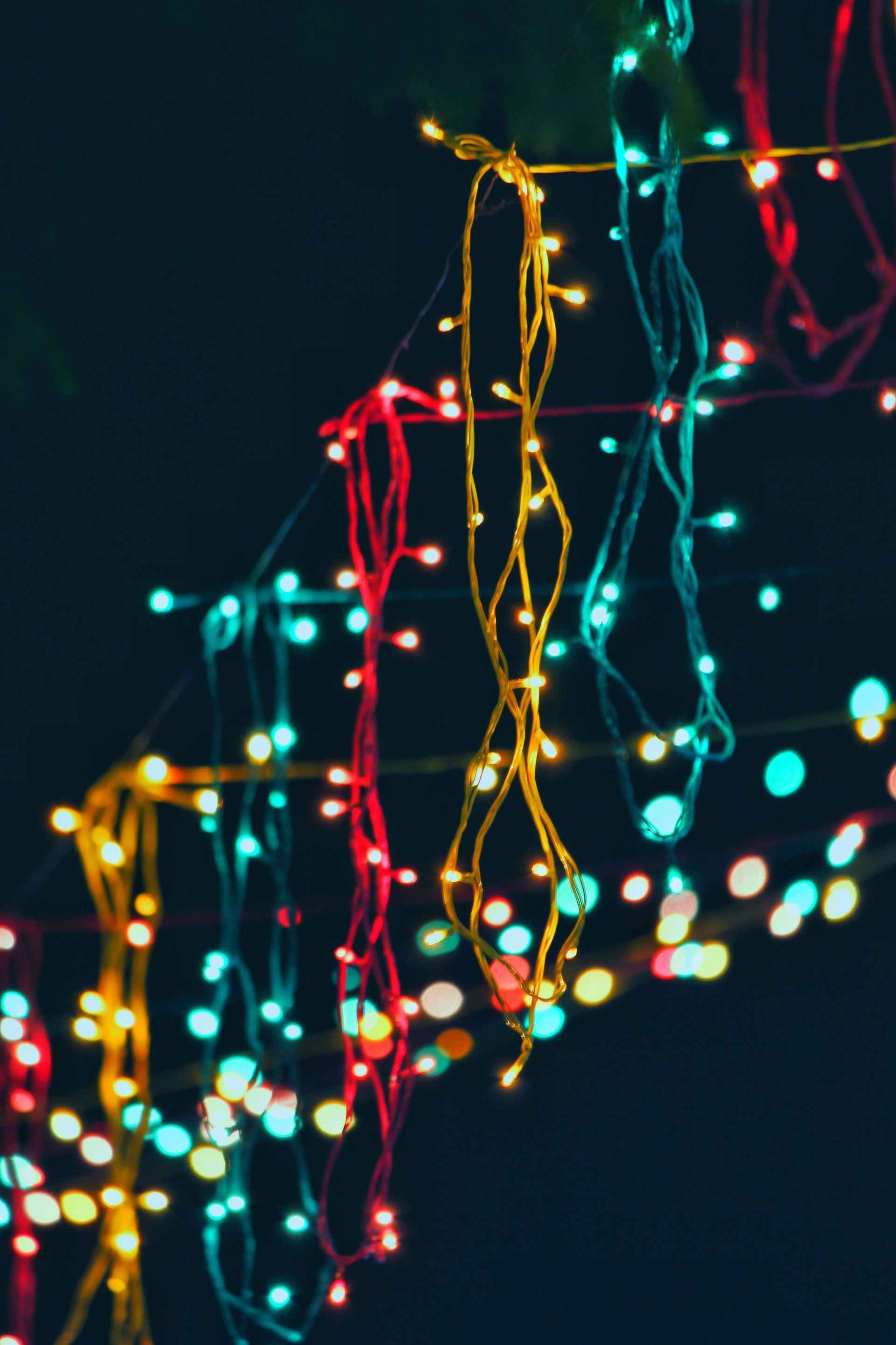 Christmas Light Installation
