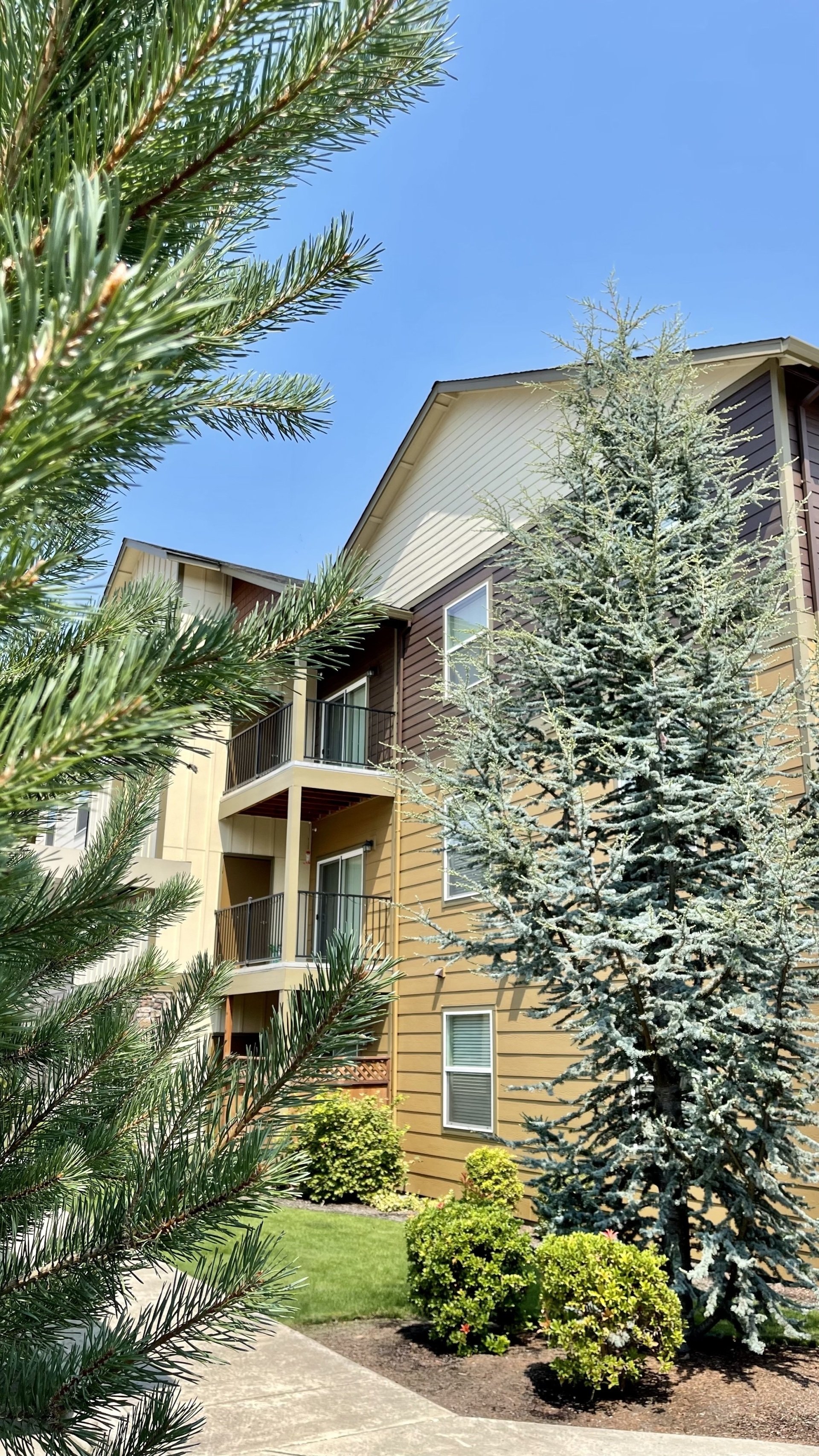 RiverBend Apartments for Rent in Albany, OR