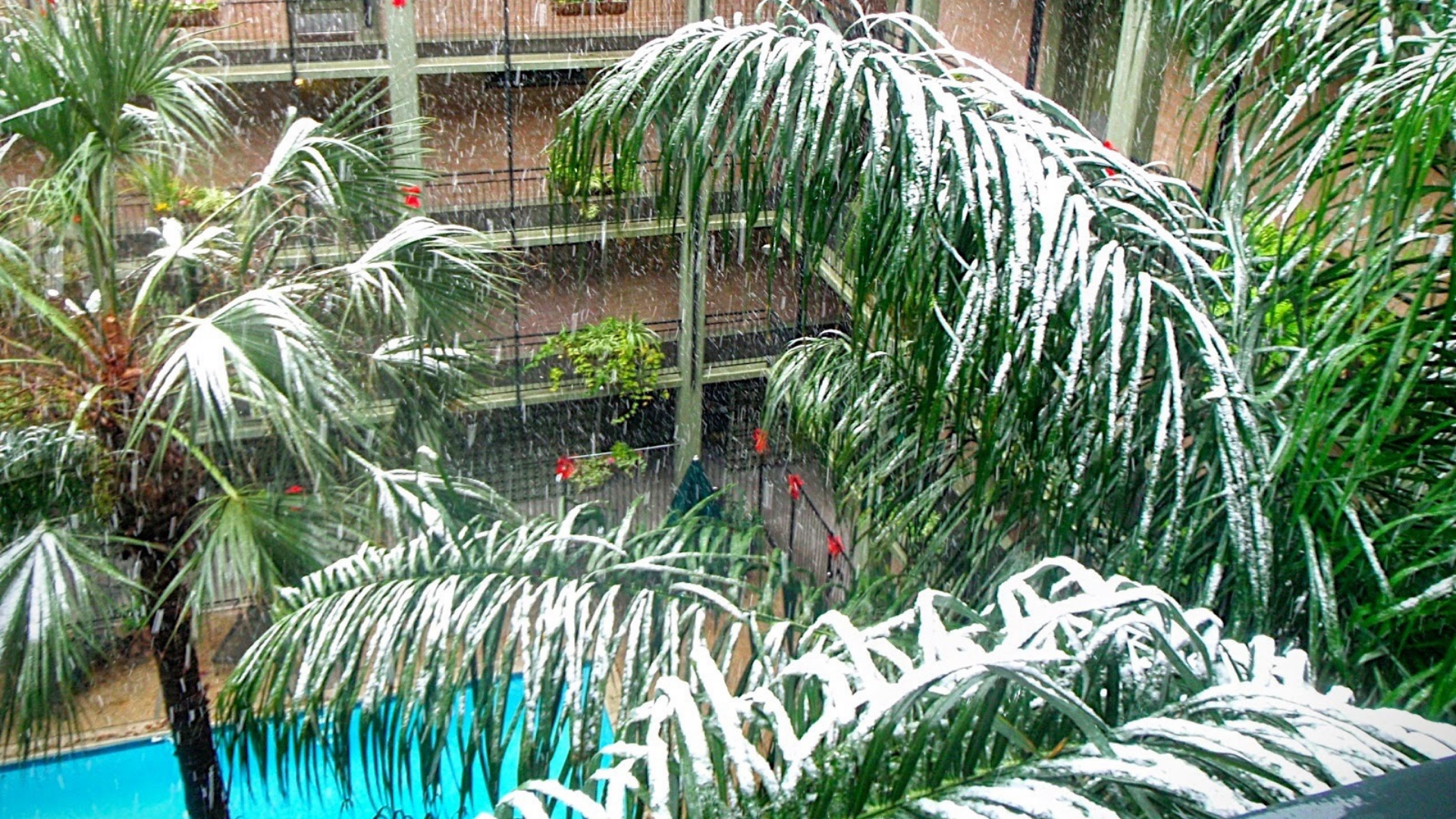Rain-soaked tropical courtyard with palm fronds over a turquoise pool and brick balconies in the background